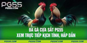 Đá Gà Cựa Sắt PG55 - Xem Trực Tiếp Kịch Tính, Hấp Dẫn