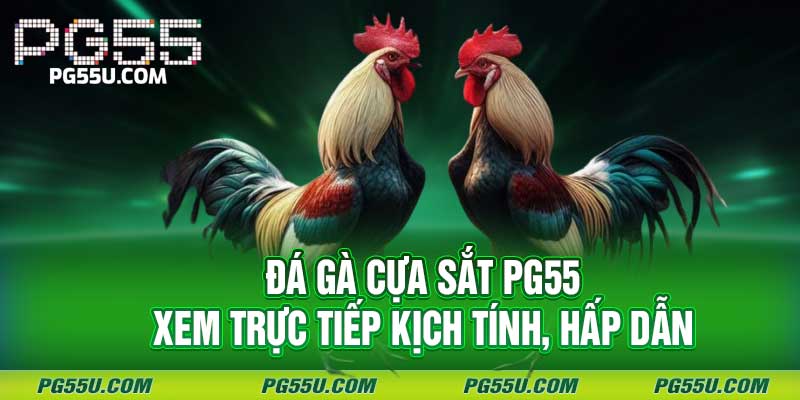 Đá Gà Cựa Sắt PG55 - Xem Trực Tiếp Kịch Tính, Hấp Dẫn